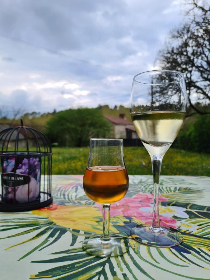 La Perle De Frayssinet-Le-Gelat - Chambre D'Hotes - B&B Екстериор снимка